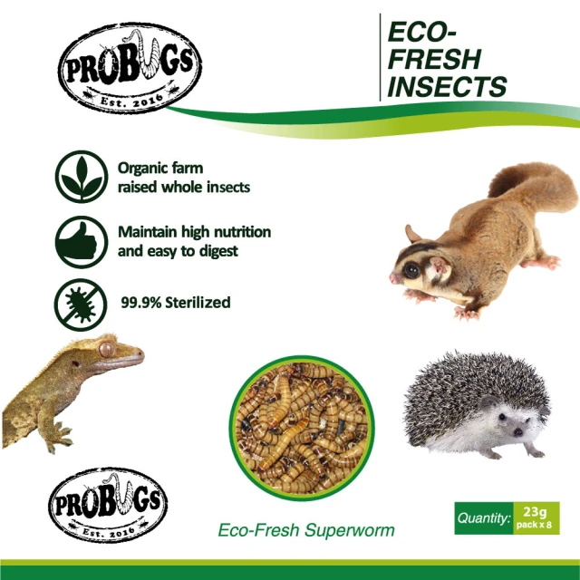 昆寶寵物原形食糧 金蟬生鮮包(蜜袋鼯/爬蟲/倉鼠最愛)好評推