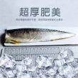 【築地一番鮮】厚片超大油質豐厚挪威薄鹽鯖魚共20片(210g/片)