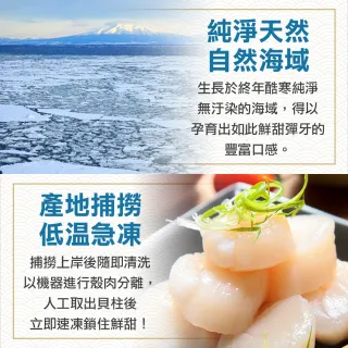 【享吃海鮮】日本北海道特級干貝5包(約6顆/180g±10%/包)