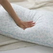 【MONTAGUT 夢特嬌】天絲萊賽爾纖維枕-兩色任選(買一送一)