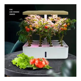 水耕 Momo購物網