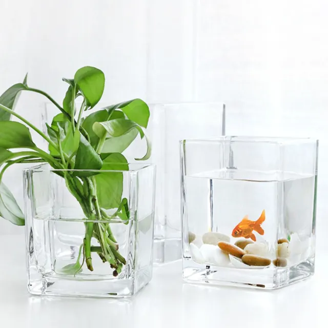 Jen 方形魚缸多用途透明玻璃花瓶花器15 15cm Momo購物網 雙11優惠推薦 22年11月