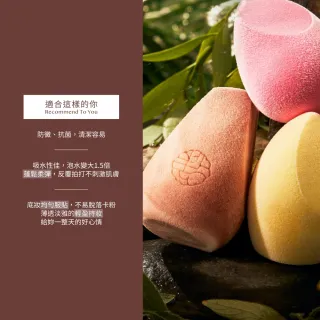 【Dian Yan Zhi 點胭脂】台灣製造 蘭嶼角鴞 四切面角型美妝蛋 1入(專業化妝海綿 美妝)