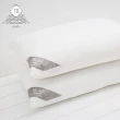 【JAROI】石墨烯+氧化鋅抗菌水洗枕(買一送一)