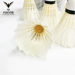 【HAVIS】H015-4練習級羽毛球-6入(適合一般初學者 羽毛球 羽球 練習羽毛球 軟木羽毛球 鴨毛羽毛球)