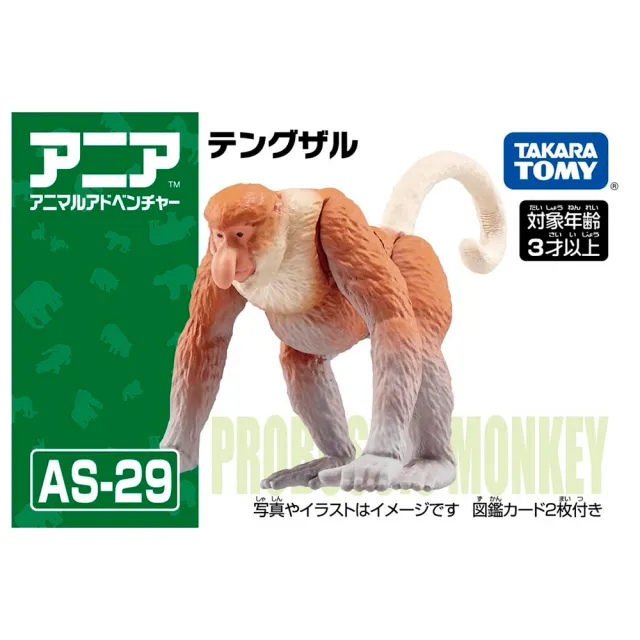 Takara Tomy Ania 多美動物as 29 長鼻猴 男孩動物模型 Momo購物網 雙11優惠推薦 22年11月