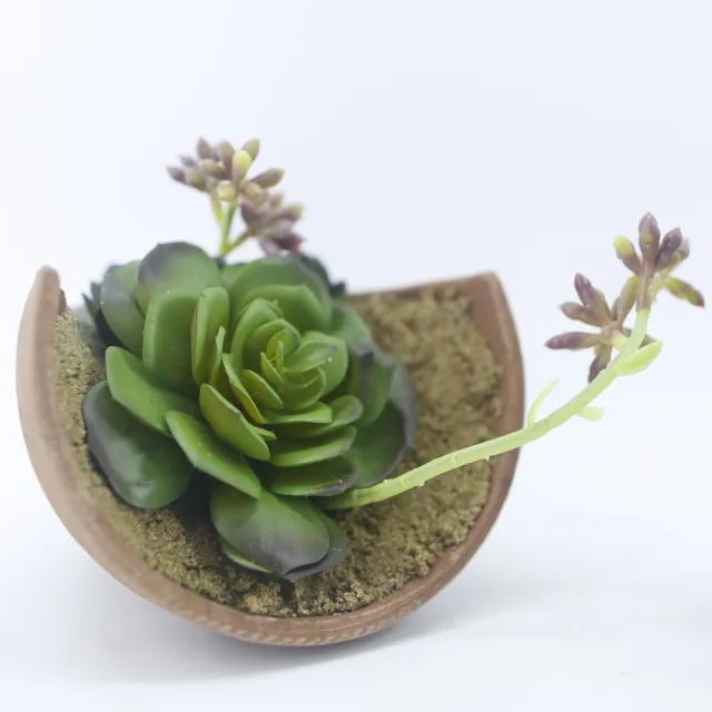 Hugo Deco 榆果傢飾 陶盆多肉盆栽圓葉款 擬真植栽 多肉植物 居家佈置 節慶送禮 Momo購物網 好評推薦 23年2月