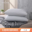 【HOYACASA】石墨烯防蹣抗菌助眠枕(二入)