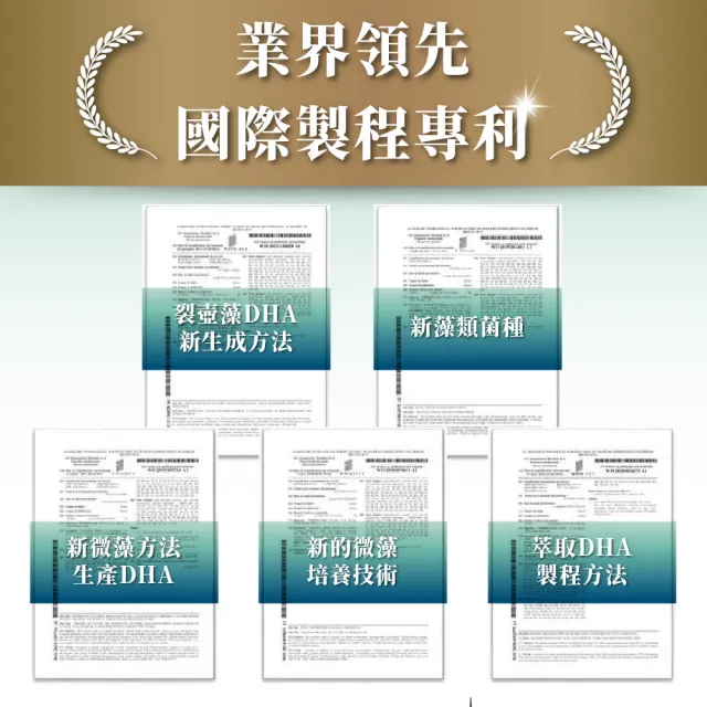 達摩本草 法國53 Dha植物藻油x1盒 60顆 盒 國際專利 高濃度 Momo購物網 雙11優惠推薦 22年11月
