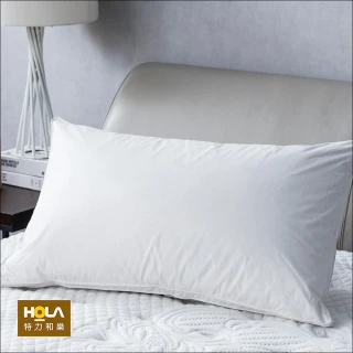 【HOLA】四區功能型長效防蹣羽絨枕