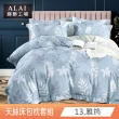 【ALAI寢飾工場】台灣製 吸濕排汗天絲枕套床包組(單人/雙人/加大/特大 均一價 多款任選)