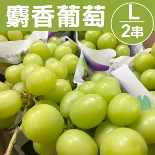 日本麝香葡萄L 2串(591-660g/串)