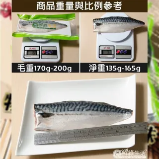 【鮮綠生活】大尺寸超厚正挪威薄鹽鯖魚M(毛重170g-200g/片 買10送1 共11片)
