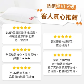 【3M】新一代限量版健康防蹣枕心-標準型(超值2入組)