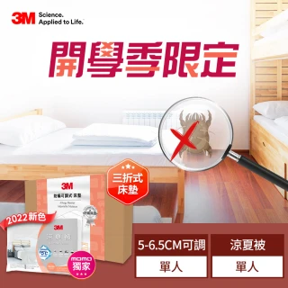 【3M】防蹣可調式泡棉床墊/折疊床墊/三折睡墊-單人+可水洗涼夏被-薄霧灰