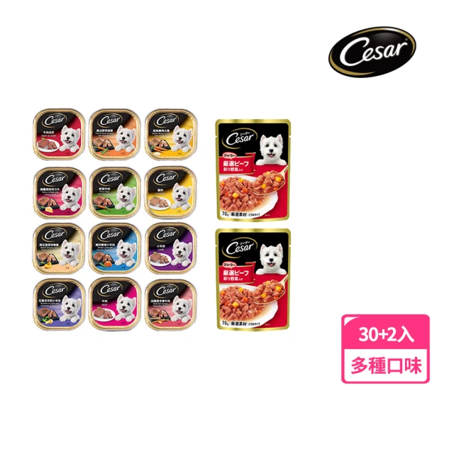 【Cesar 西莎】momo獨家組 餐盒+蒸鮮包(狗罐/犬罐)