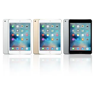 iPad mini (7.9