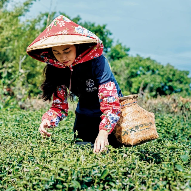 花蓮-鯨世界 賞鯨豚生態之旅成人雙人券(暑假加贈兩學童)評價