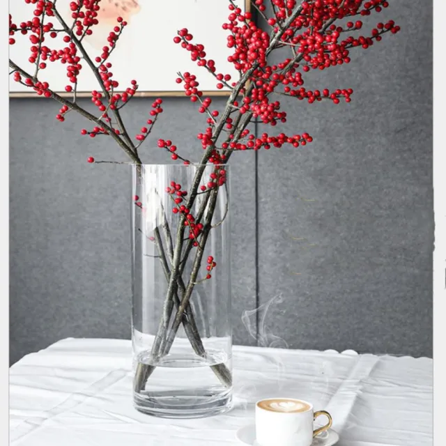 Jen 圓筒透明玻璃花瓶花器高25cm 口徑10cm Momo購物網 雙11優惠推薦 22年11月