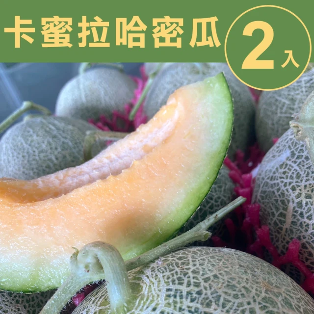 【甜露露】台灣卡蜜拉哈密瓜2入(4.5-5台斤±10%)