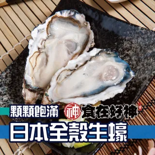 【食在好神】日本海養飯店御用生食級頂級生蠔