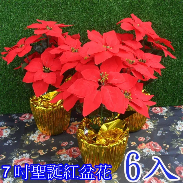 【園藝世界】人造花-金盆裝聖誕紅-6入(7頭聖誕紅)