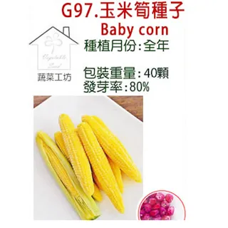 【蔬菜工坊】G97.玉米筍種子