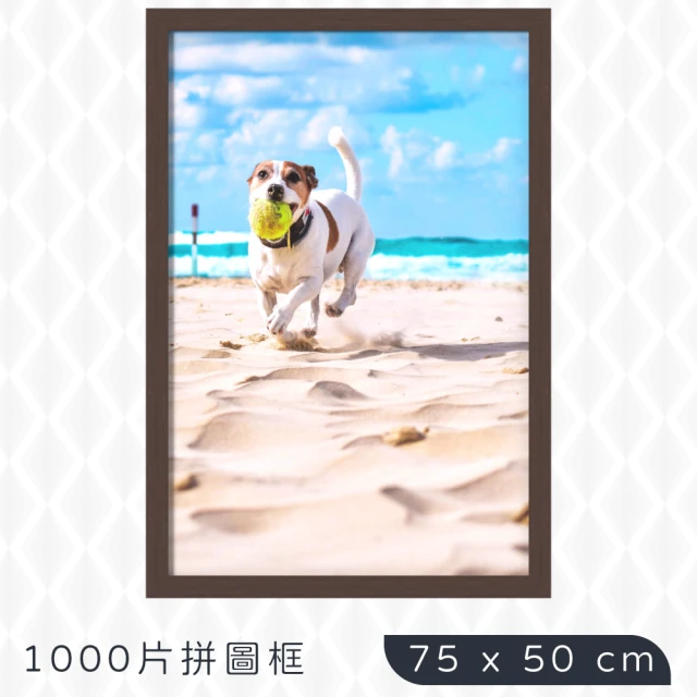 【TRENY】1000片拼圖框75x50cm-咖啡