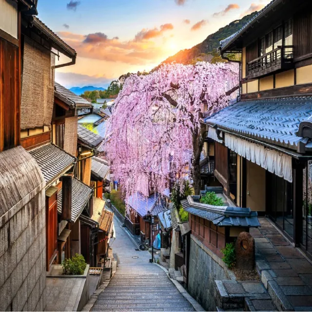 【風雅關西大阪五日】清水寺.嵐山渡月橋.美山合掌村.世界遺產金閣寺.奈良梅花鹿公園