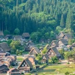 【季節限定】黑部立山雪壁合掌村奈良溫泉5日(名古屋進出)
