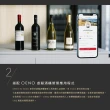【Electrolux 伊萊克斯】Vintec獨立式/嵌入式酒櫃-50瓶(VWD050SBA-X)