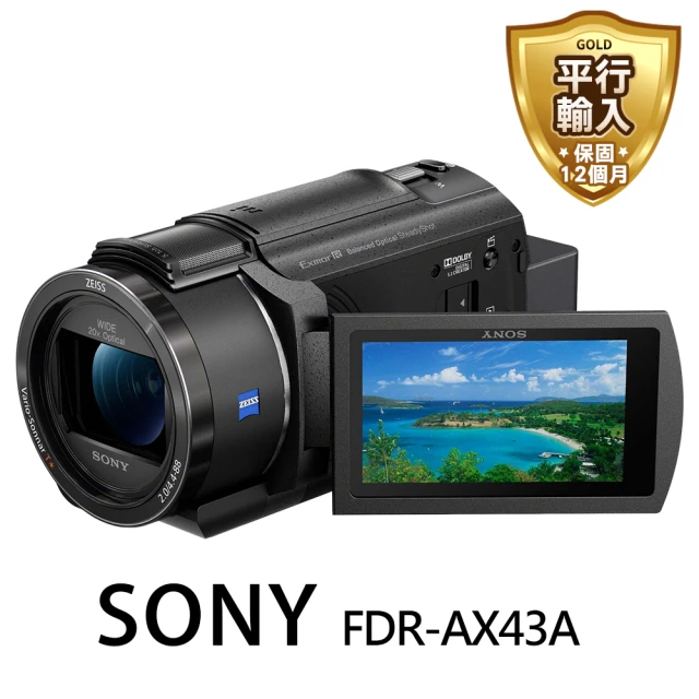 SONY 索尼 FDR-AX43A 4K高畫質數位攝影機(公