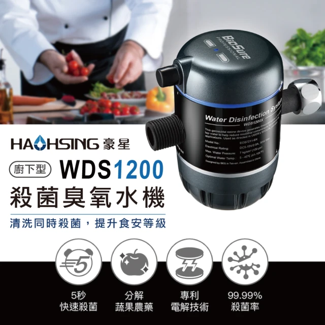 【豪星 HAOHSING】WDS1200 廚下型殺菌臭氧水機