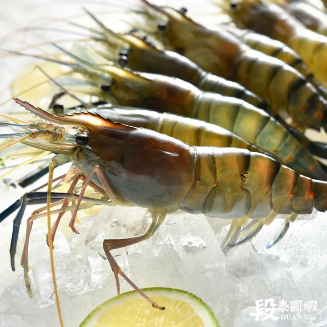 【段泰國蝦】屏東鮮凍泰國蝦Ａ級2包入(600g±5%/包)