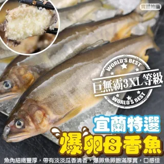 【三頓飯】宜蘭特選3XL爆卵母香魚(1盒_8尾/1kg/盒)