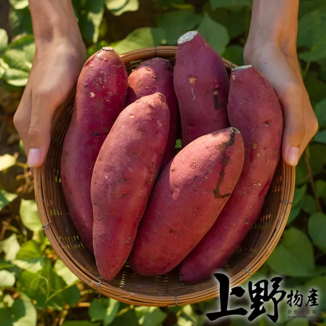 【上野物產】8包 栗香地瓜 (500g/包) (年菜)