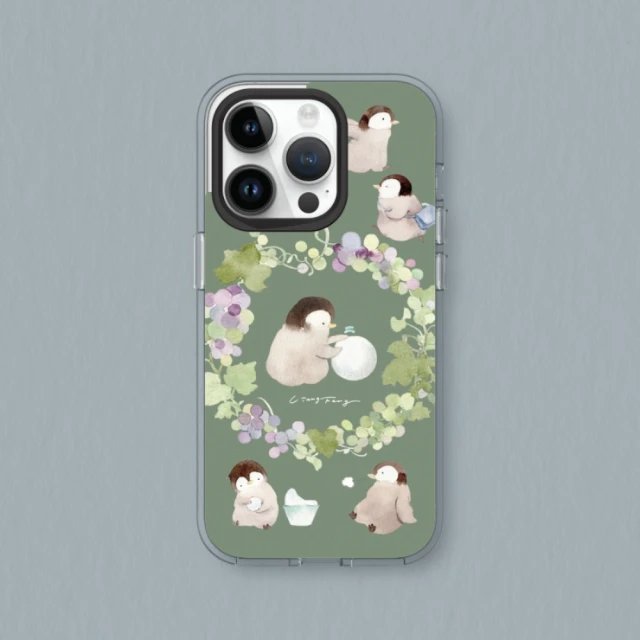 RHINOSHIELD 犀牛盾 iPhone 13系列 Cl