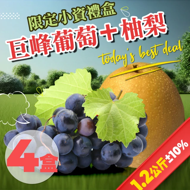 果樹寶石 卓蘭柚梨+巨峰葡萄禮盒x4盒（1.2公斤±10%/盒）(小資組合 高級享受 農場低溫直送)