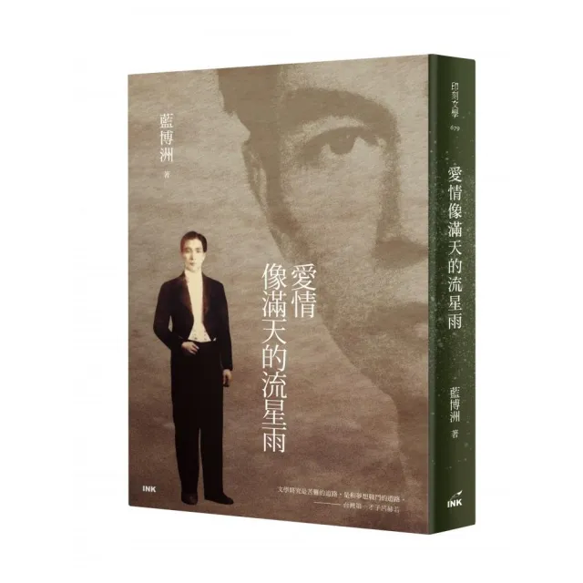 愛情像滿天的流星雨