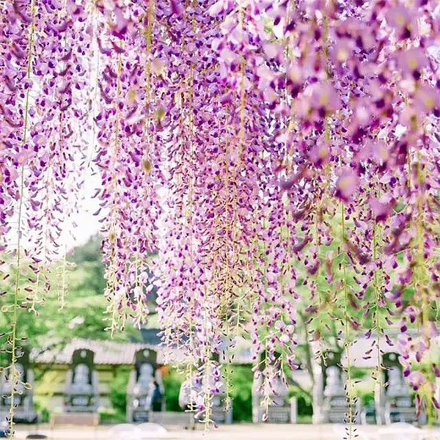 【園藝世界】藤の花-5束(藤花 人造花束)