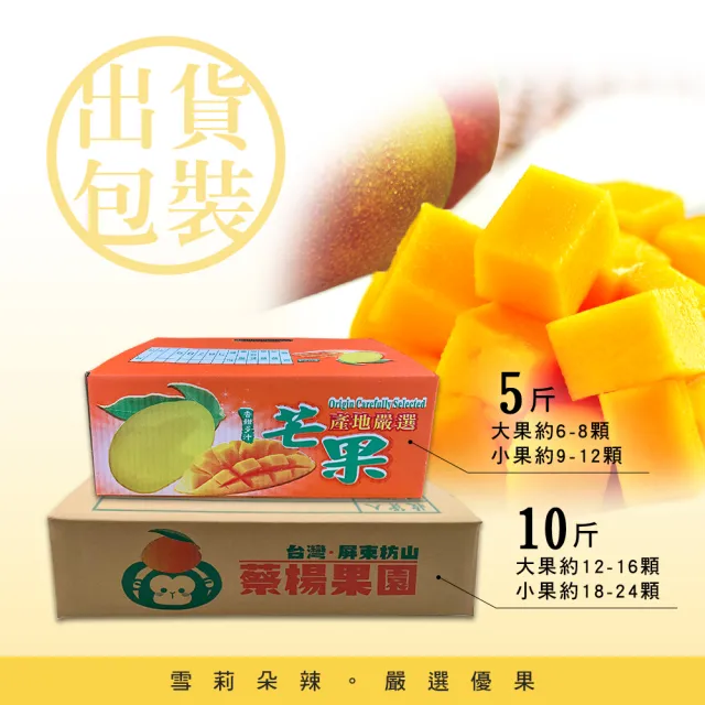 【雪莉朵辣】屏東枋山愛文芒果x2盒(大果-5斤±10%/盒/約6-8顆)
