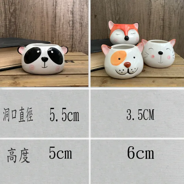 【園藝世界】活體植栽-動物盆4入組(多肉盆栽/造型盆)