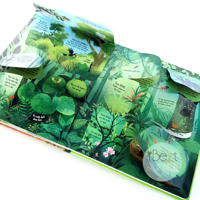 【iBezT】Trees(Usborne Lift-the-Flap翻翻書)