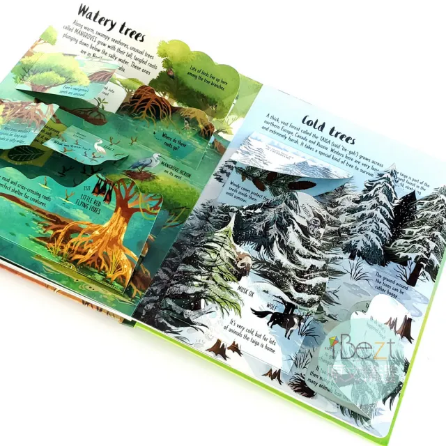 【iBezT】Trees(Usborne Lift-the-Flap翻翻書)