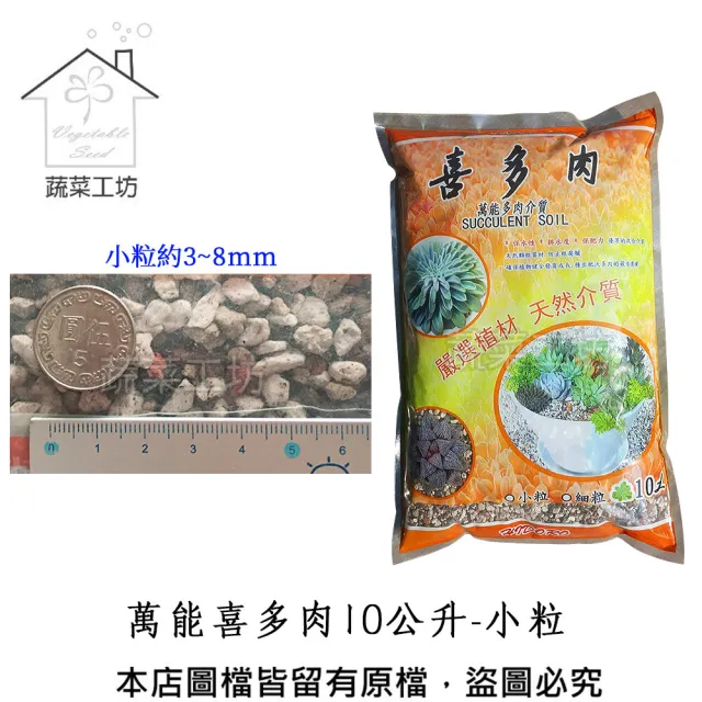 【蔬菜工坊】萬能喜多肉10公升-小粒