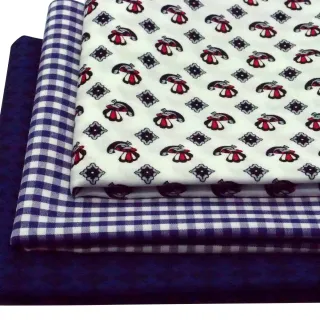 【BARONECE 百諾禮士】亮眼口袋裝飾手帕 單入(620609-01)