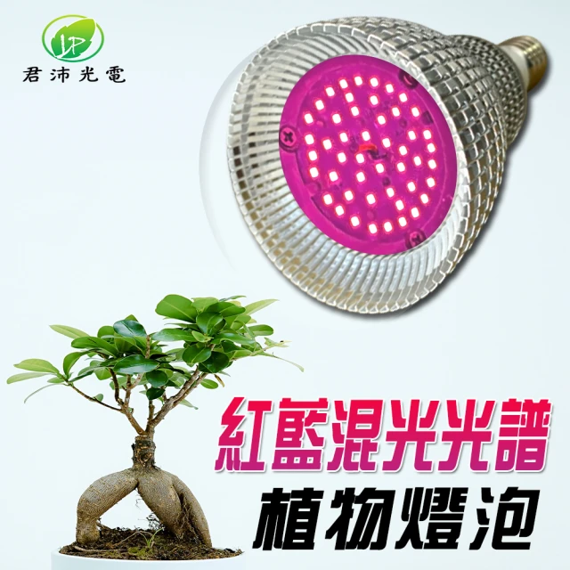 【JIUNPEY 君沛】15W 紅藍混光E27植物燈泡(植物生長燈)