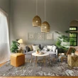 【山德力】土耳其製地毯亮金系列160X230多款可選(適用於客廳、起居室空間)