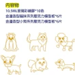 【AMOS 阿摩司】韓國原裝 10色小狗貓咪壓克力模型板DIY玻璃彩繪組
