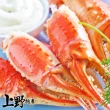 【上野物產】3包約30個 日本進口 半殼熟凍雪蟹鉗(100g±10%/約10支/包 螃蟹/蟹肉/蟹腳)